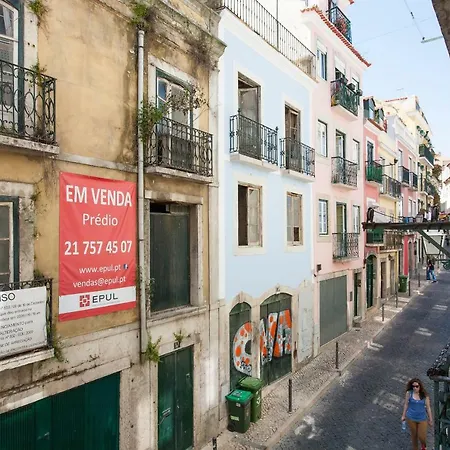 Rosa Chiado Design Apart